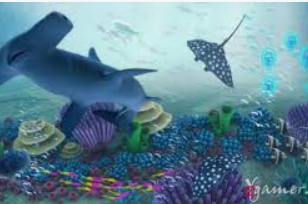 HB火博·体育官方正版手游2024最新版